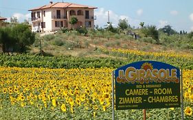 B&B Il Girasole - Rooms & House In Country - 1500 Meters From Historic Center